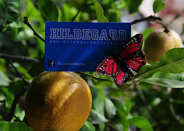 Ξενοδοχείο Hildegard 3*