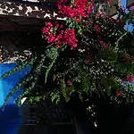 Hildegard Отель 3*