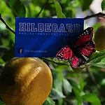 Отель Hildegard 3*