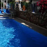هيلدغارد