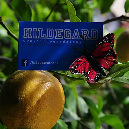 Отель Hildegard 3*