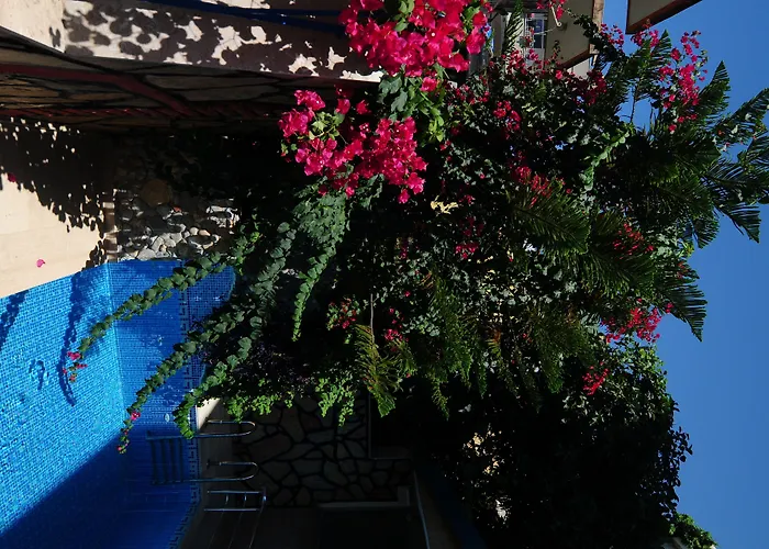 هيلدغارد فندق 3*