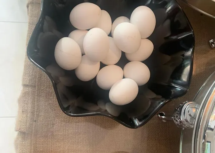 هيلدغارد ألانيا